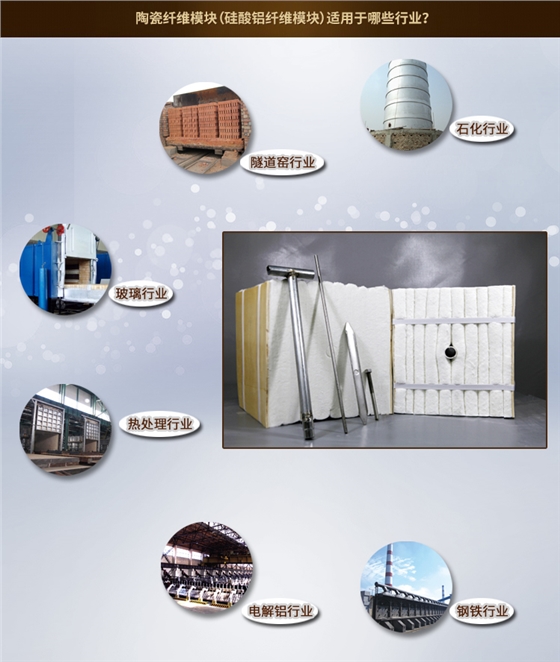 鋼鐵石化行業(yè)用陶瓷纖維模塊